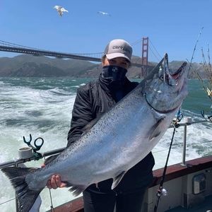 Meet your Posher, Shelene